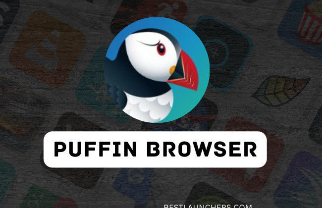 Puffin Browser Pro Mod Apk 2024 Download [New Version]