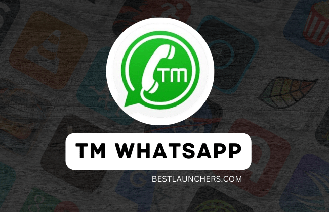 TM Whatsapp Apk
